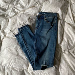 Articles of Society Signature Sarah Skinny Jean